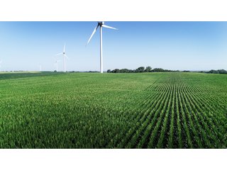 Bureau County, Illinois farmland - LAND AND WIND RIGHTS AUCTION - 337+/- ACRES IN 4 TRACTS IN BUREAU COUNTY, ILLINOIS